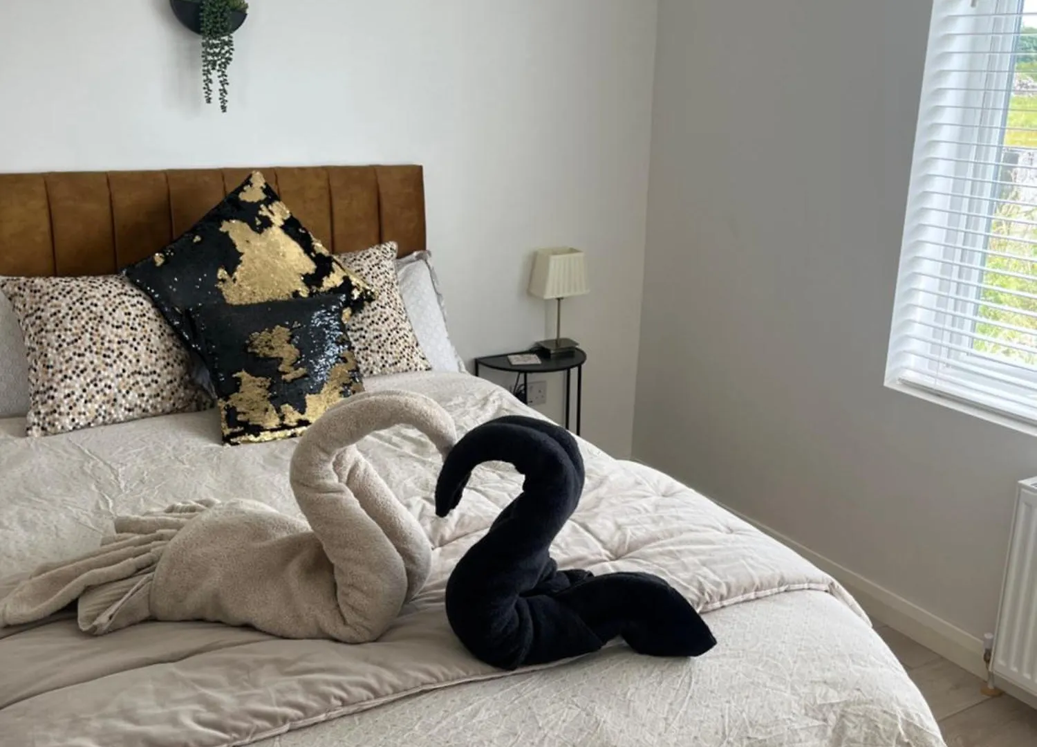 Andis Meadow Apartment Galway 0*,